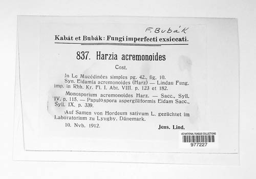Harzia acremonioides image